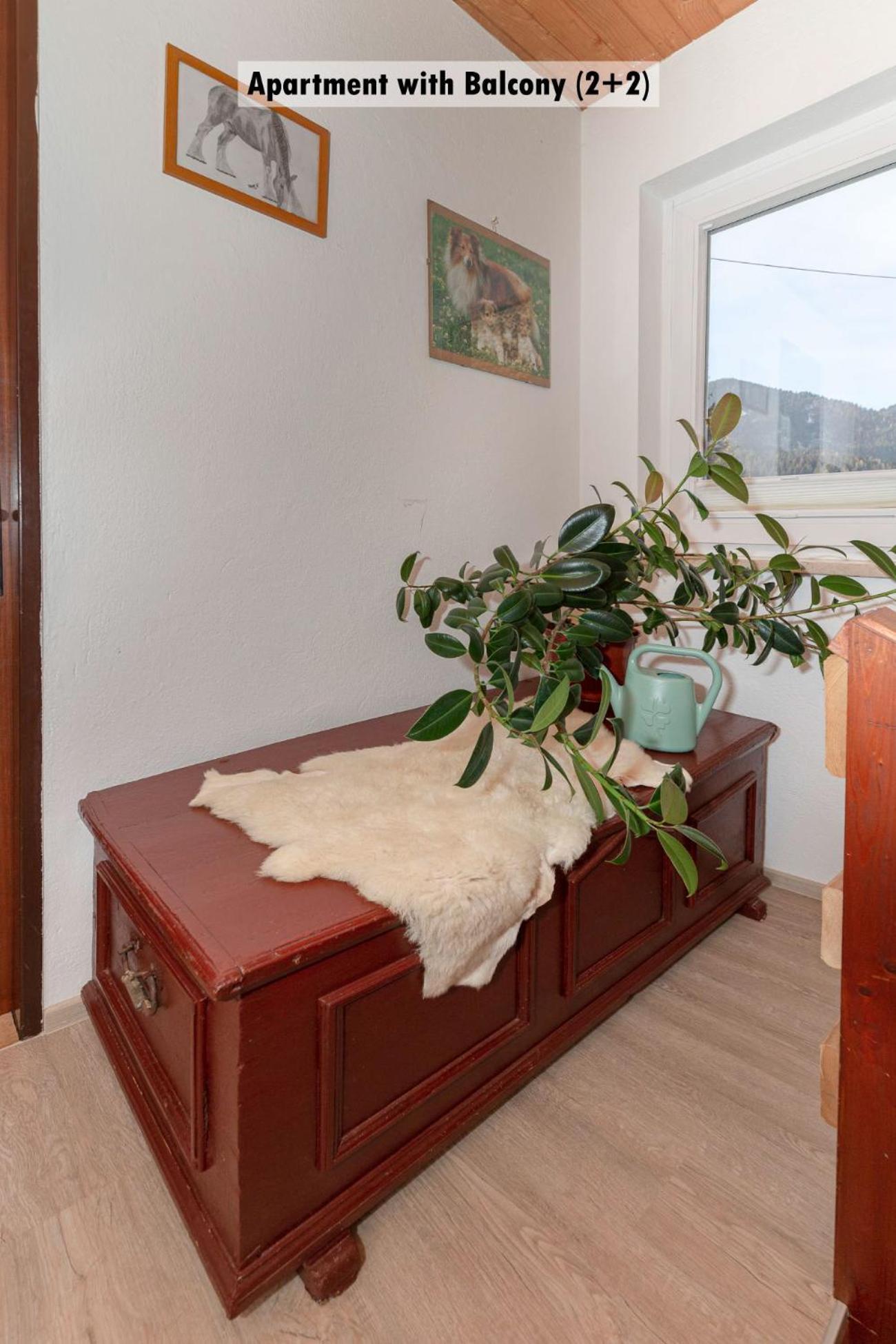 יסניצה Apartments Farm House Uric מראה חיצוני תמונה